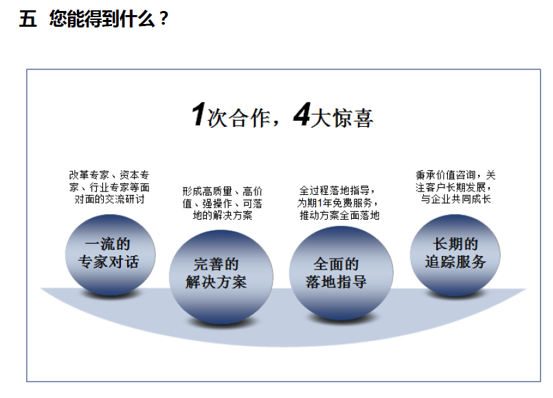 中美嘉伦“双百行动”国企改革咨询服务产品手册