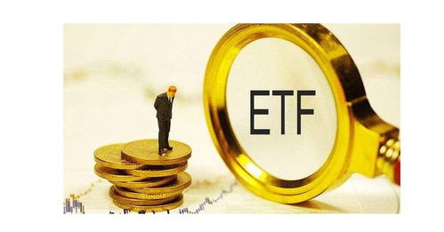 50etf期权和期货 , 是一种很相似的 , 投资产品