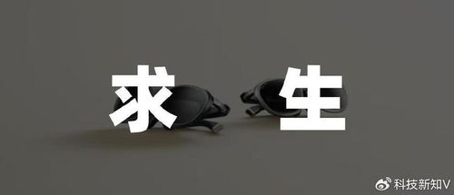 rokid 被资本热捧背后,难掩生态荒漠真相